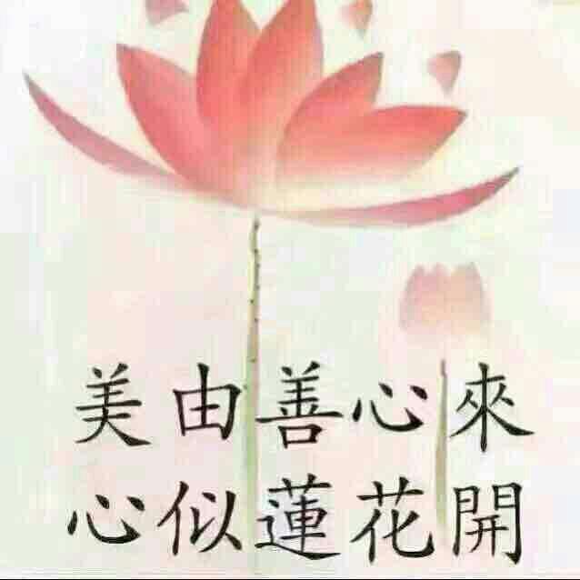 美由善心来,心似莲花开