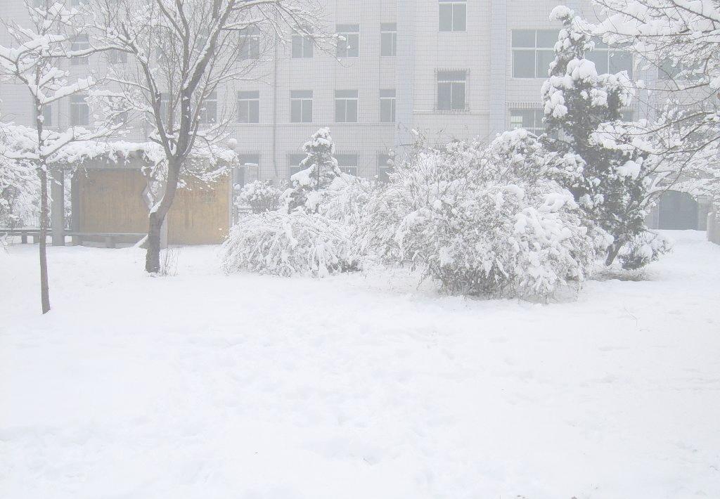 那年东天雪满山