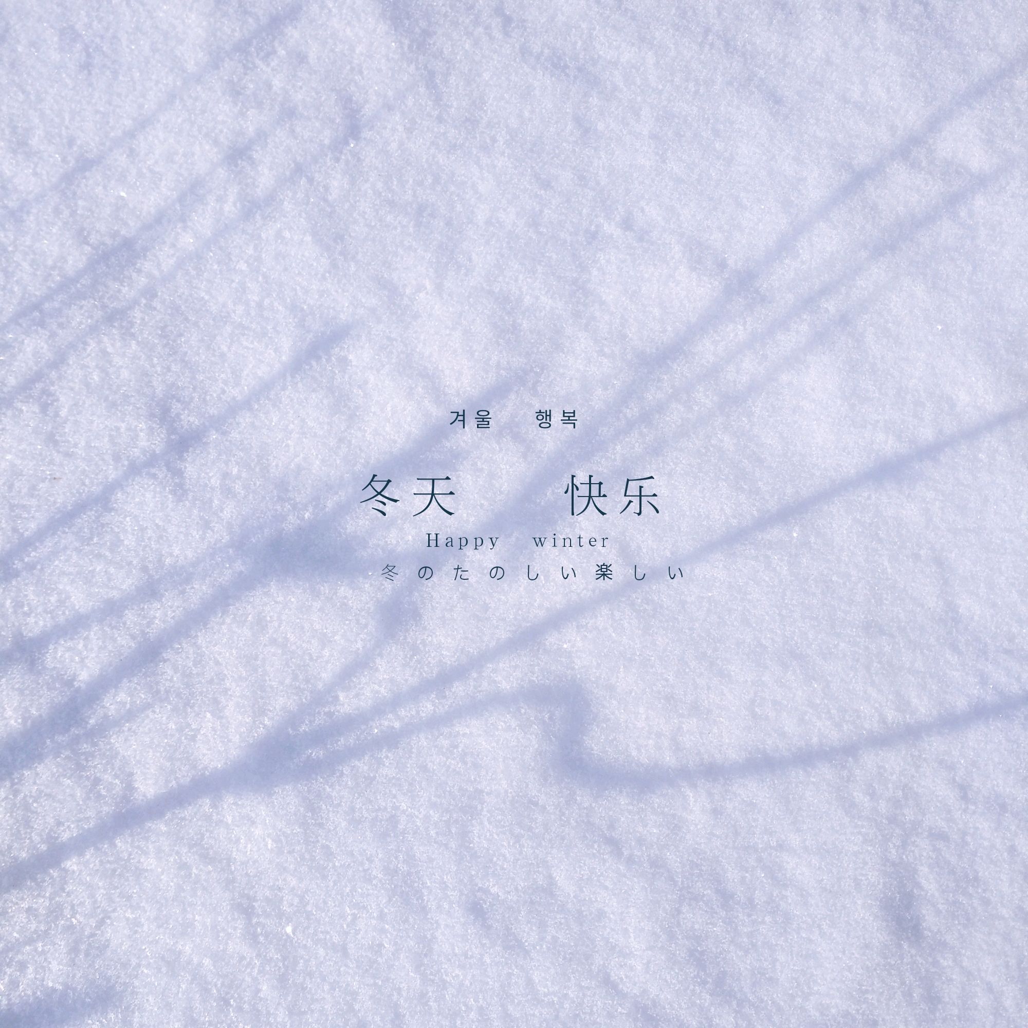 白雪覆盖下,藏着冬天的秘密