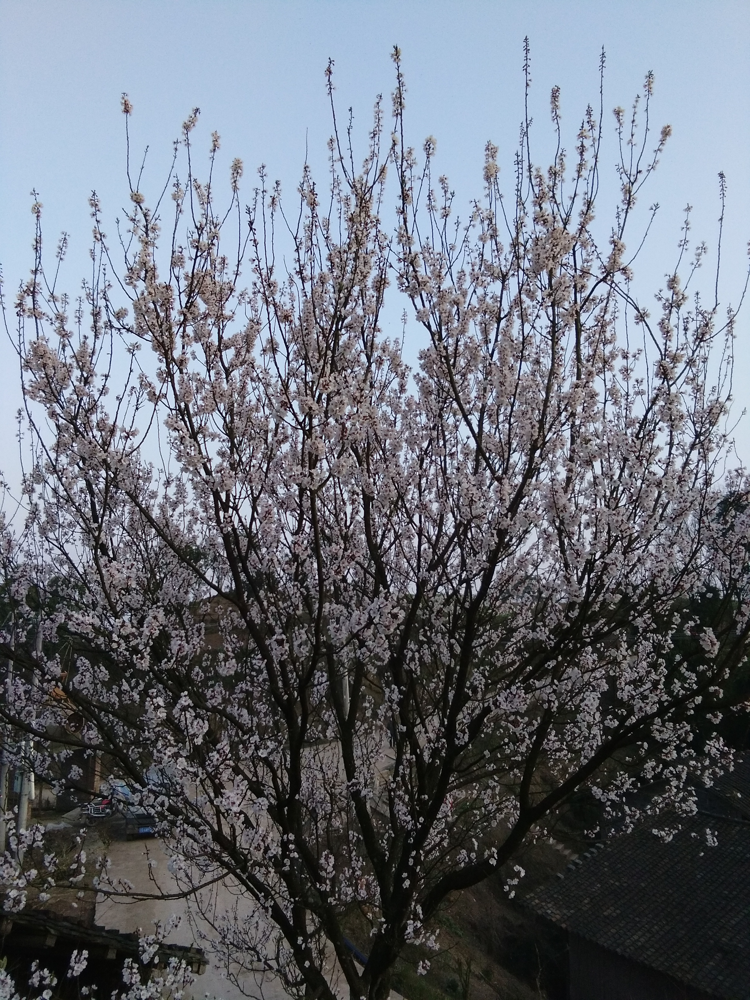 【名单公布】初春摄影大赛,分享你身边的美景