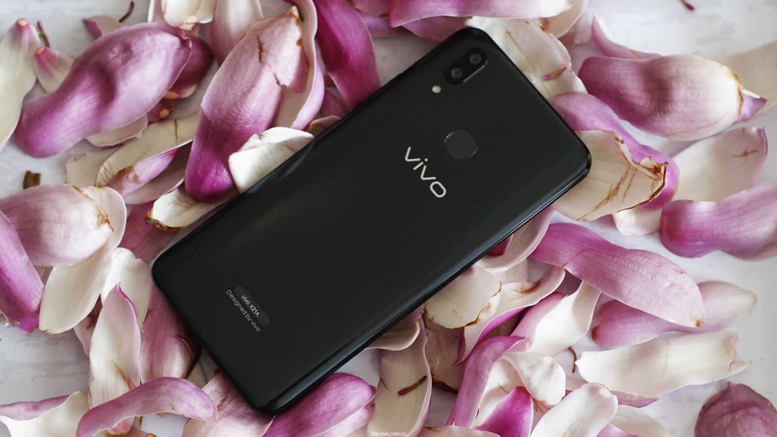 落花时节又逢君 ——vivo x21开箱图赏