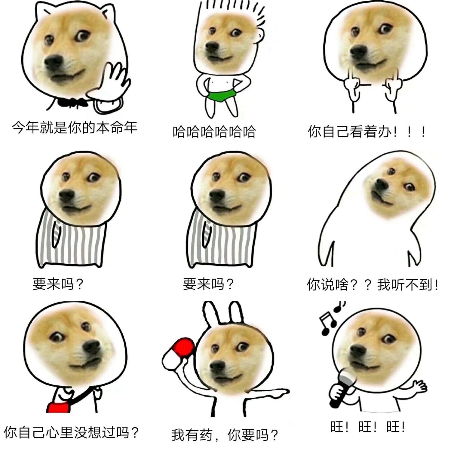 【v粉表情包】本命年旺旺旺