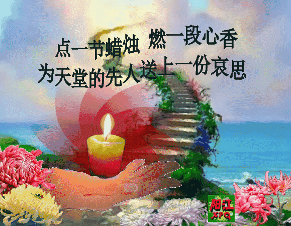 【多去旅行,少去旅游.】