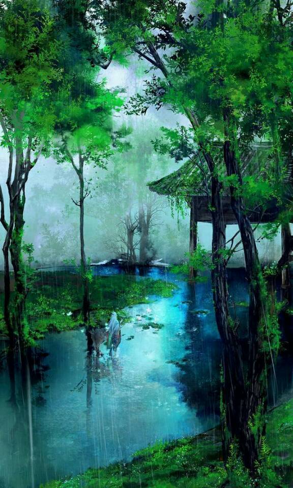 雨中森林,很喜欢