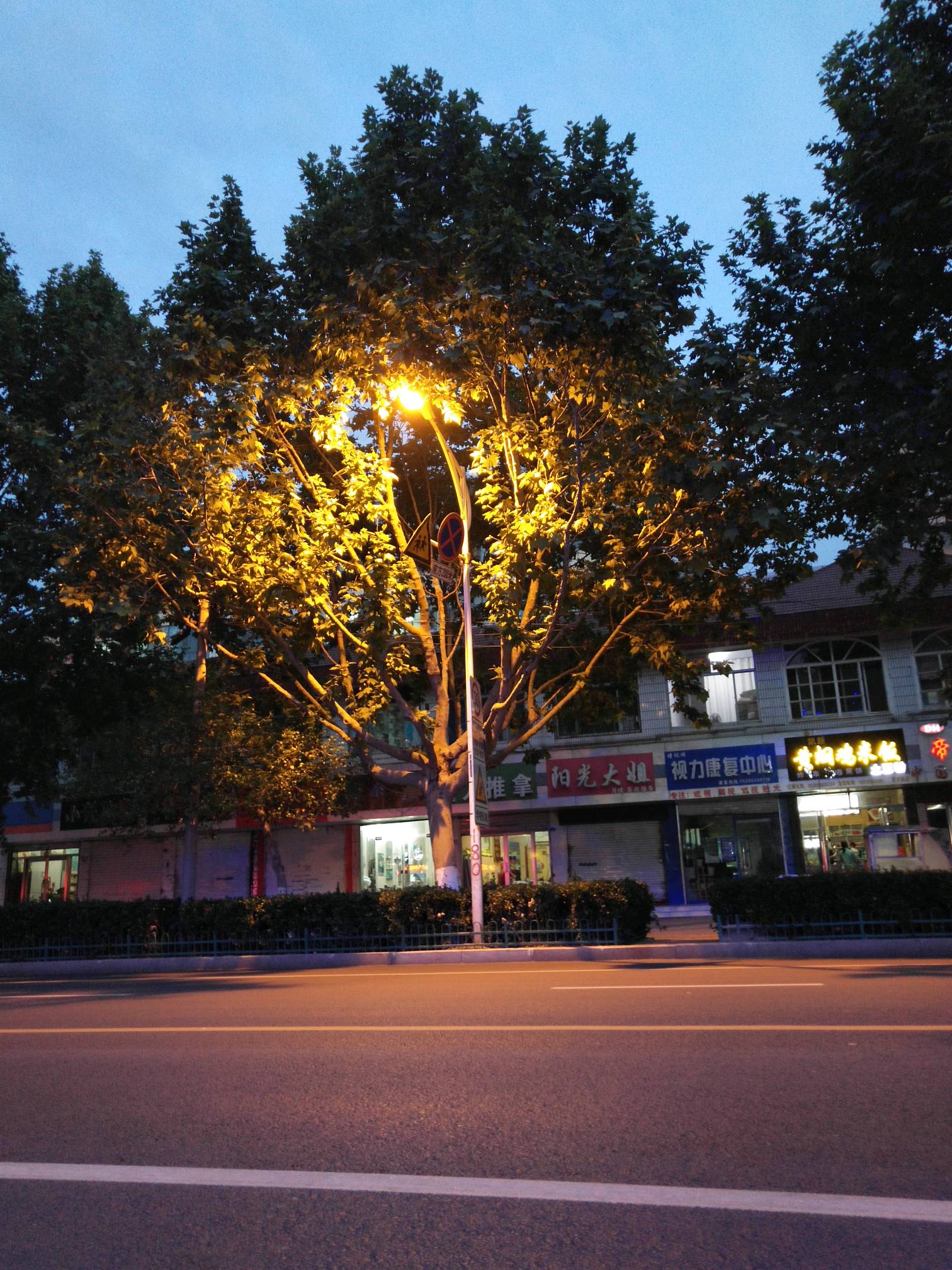 昏黄的街灯下,一缕淡淡的忧伤,我寻找着你的影子