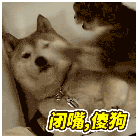 【v粉表情包】抖音,猪腩肉