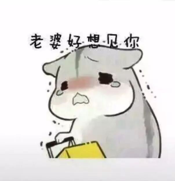 爱粘老婆的表情包