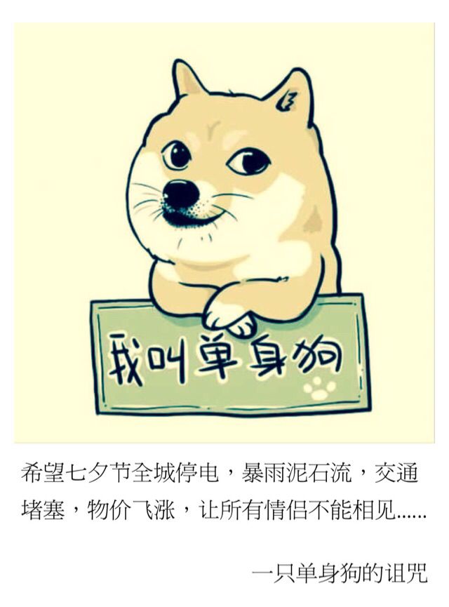 单身的你,都是怎么过七夕情人节的?