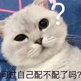 刷爆朋友圈的单身鄙视链图鉴,听说第五级连舔狗都不如