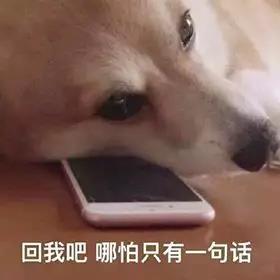 刷爆朋友圈的单身鄙视链图鉴,听说第五级连舔狗都不如