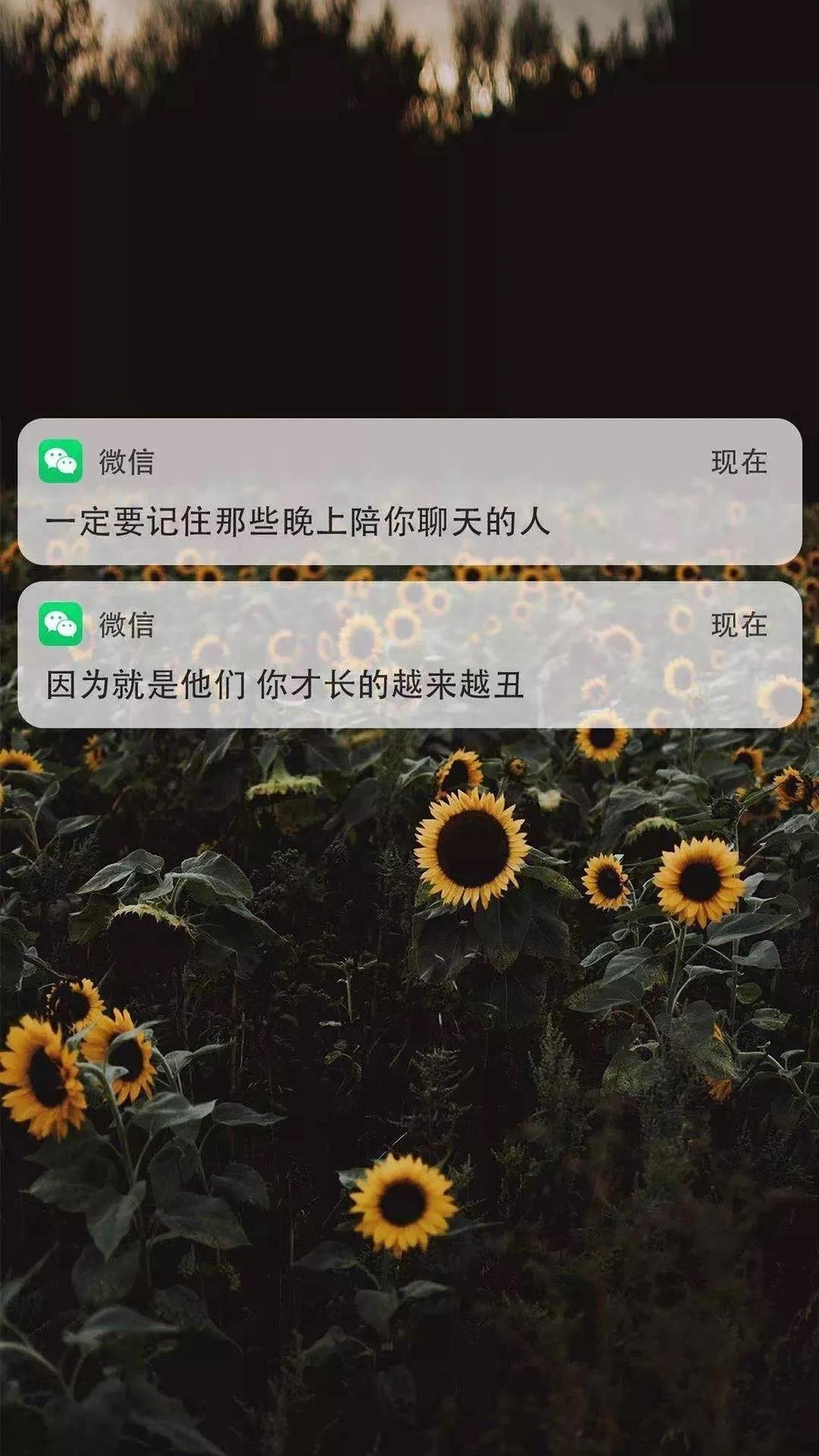 【壁纸】微信通知文字壁纸