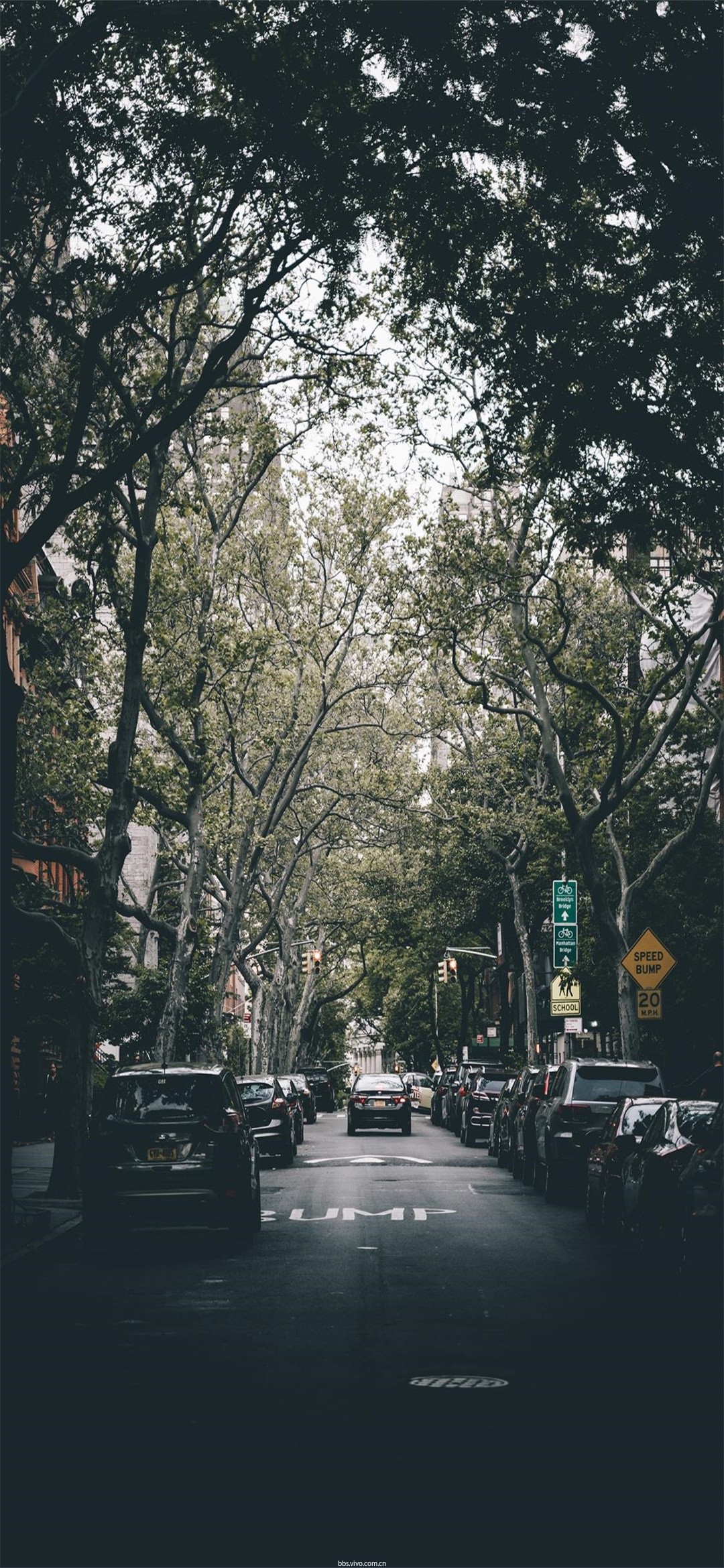 壁纸分享|熟悉的城市,那繁华的街景