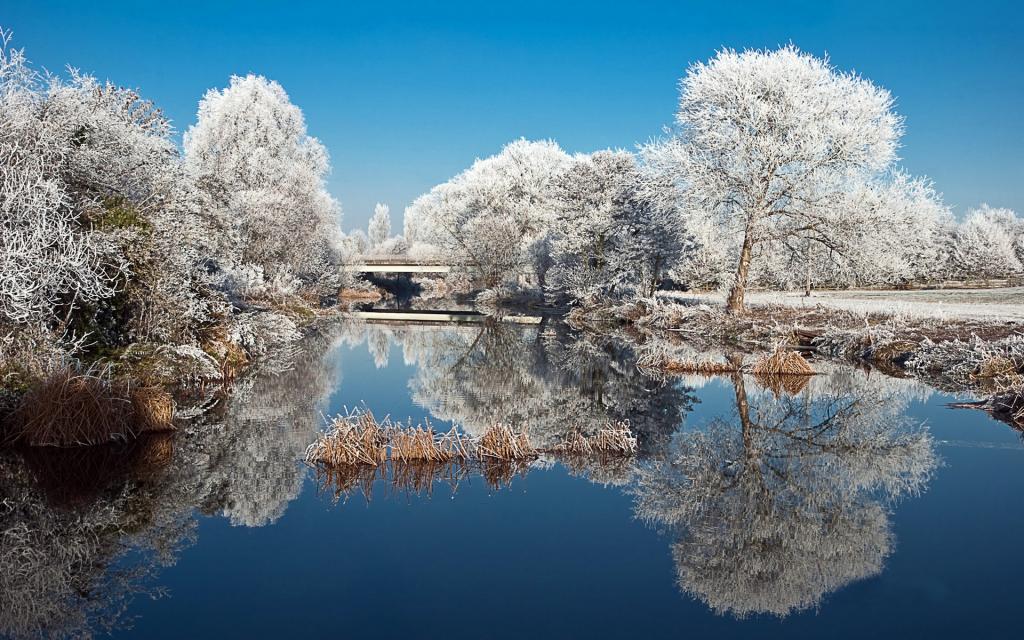 【壁纸】唯美二十四节气之小雪壁纸