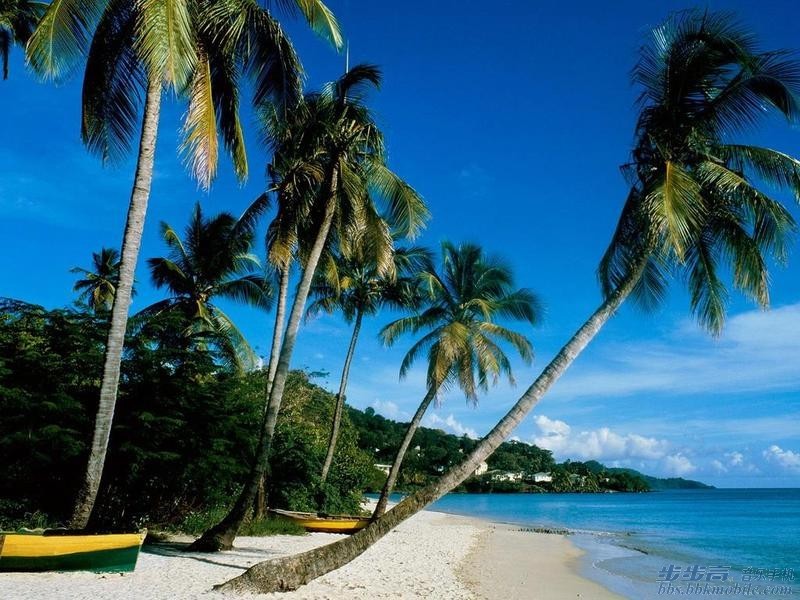 【随心而乐·自由行走】 去海南看夕阳-v粉家园-vivo智能手机v粉社区