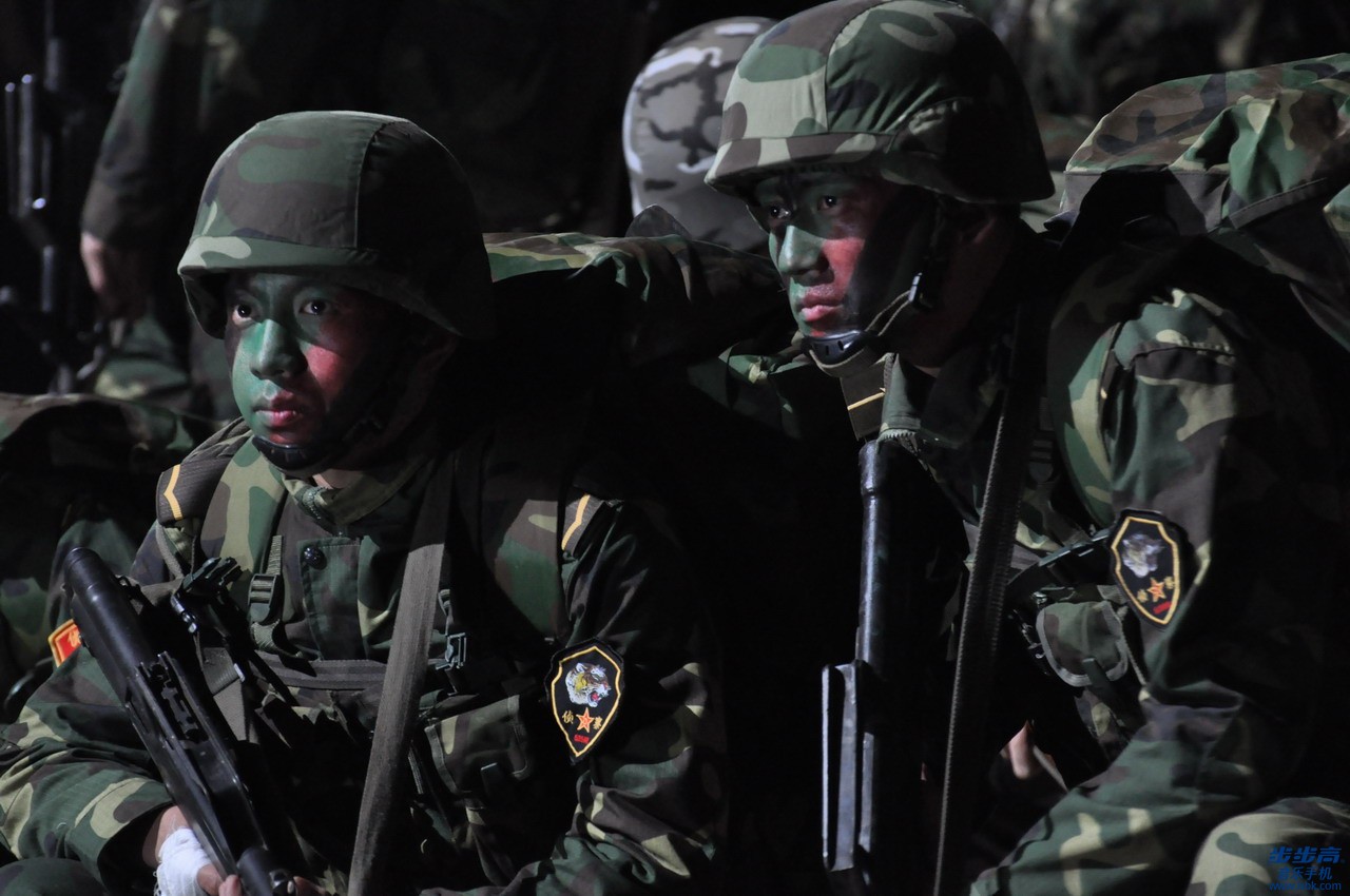 【感恩音乐故事】 感恩狼性生活