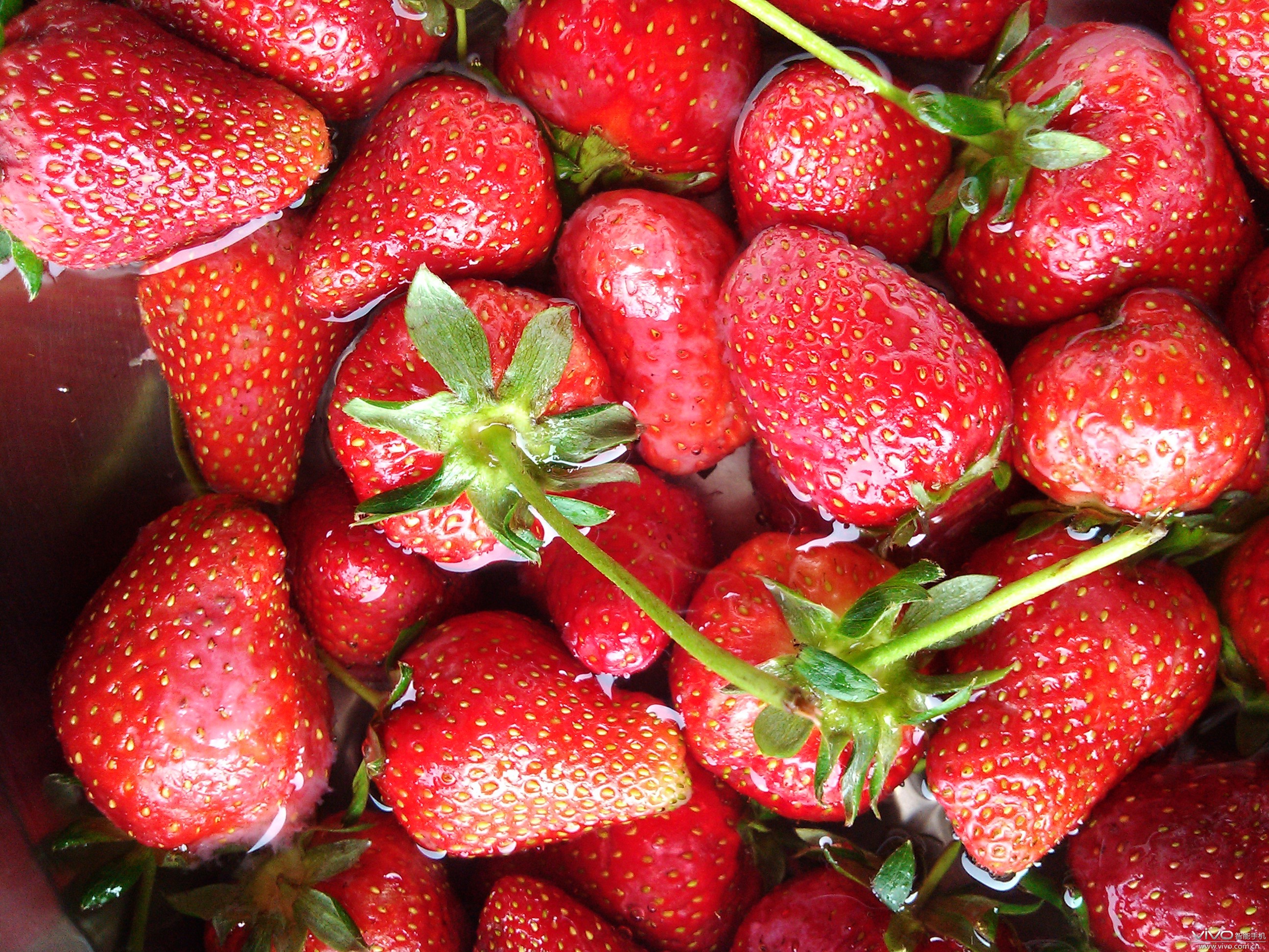 【极致美颜】v1陪我走过的日子.