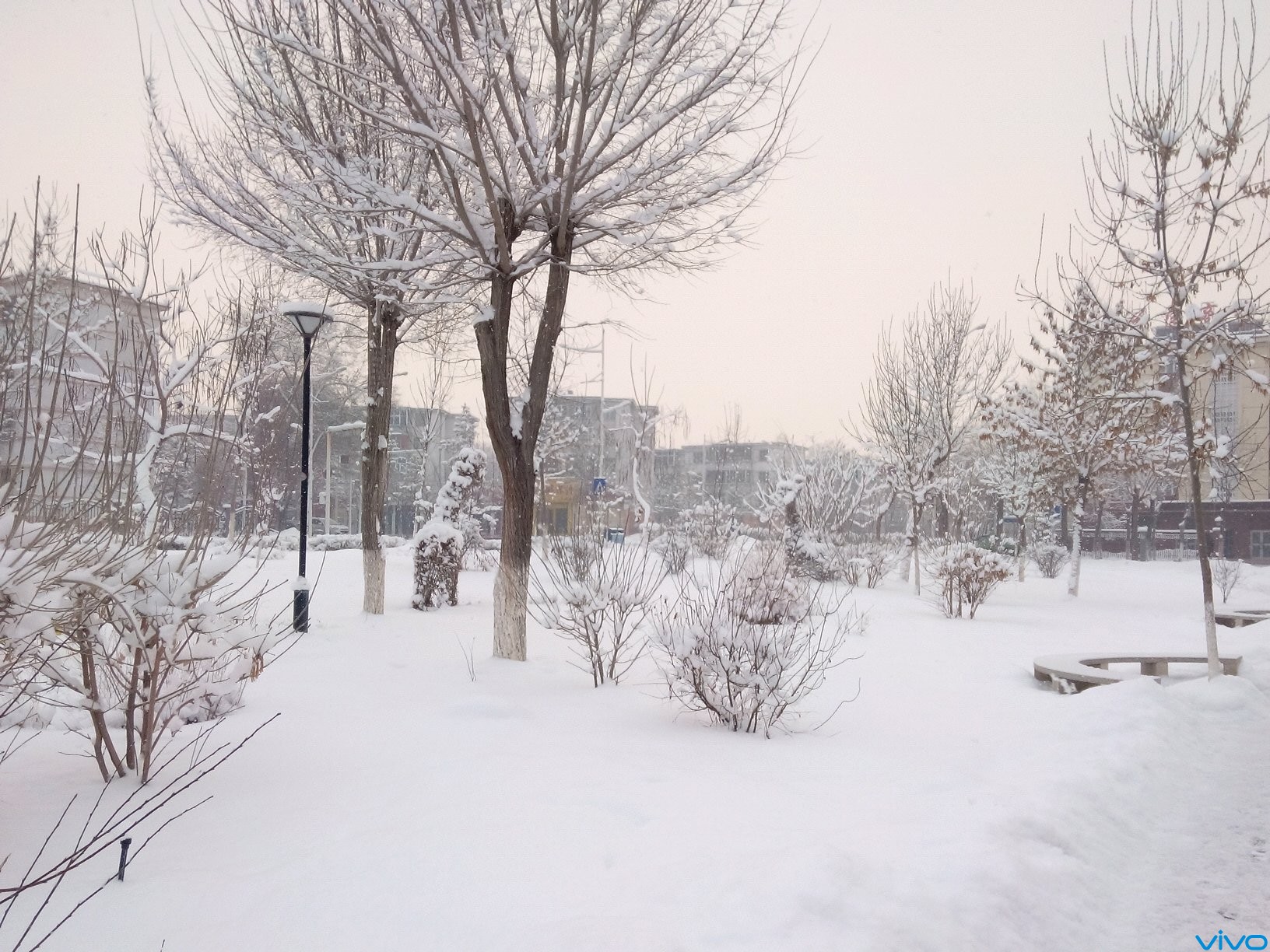 冬天的雪景 