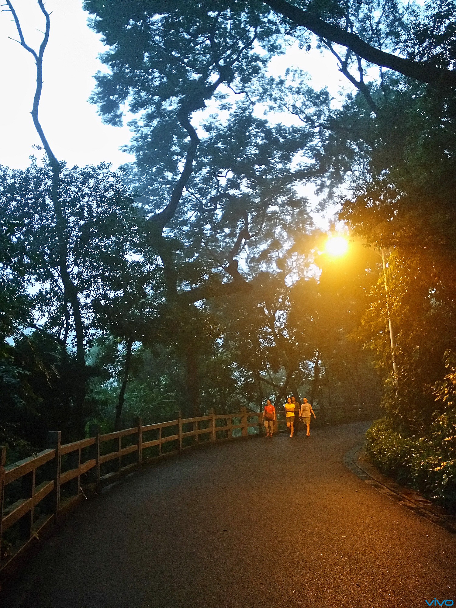 晚飯後在公園散步