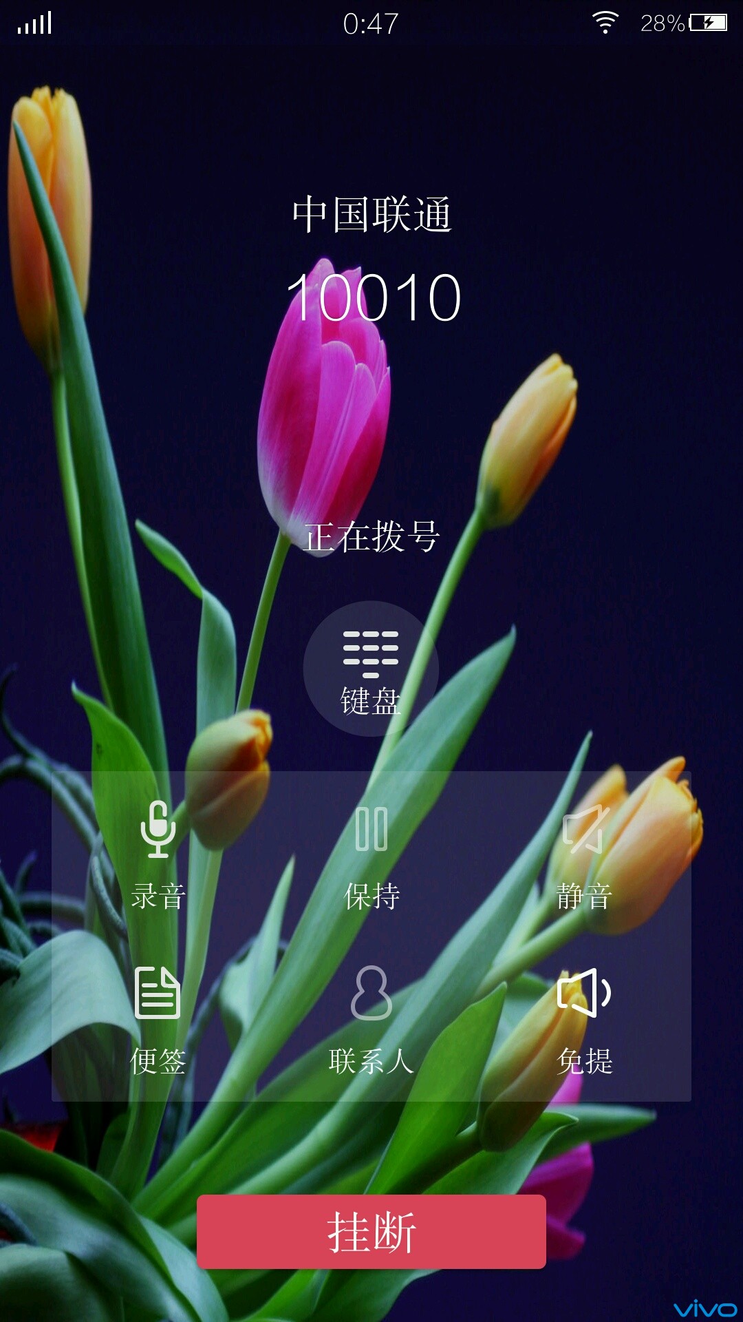 很漂亮的xplay通话背景