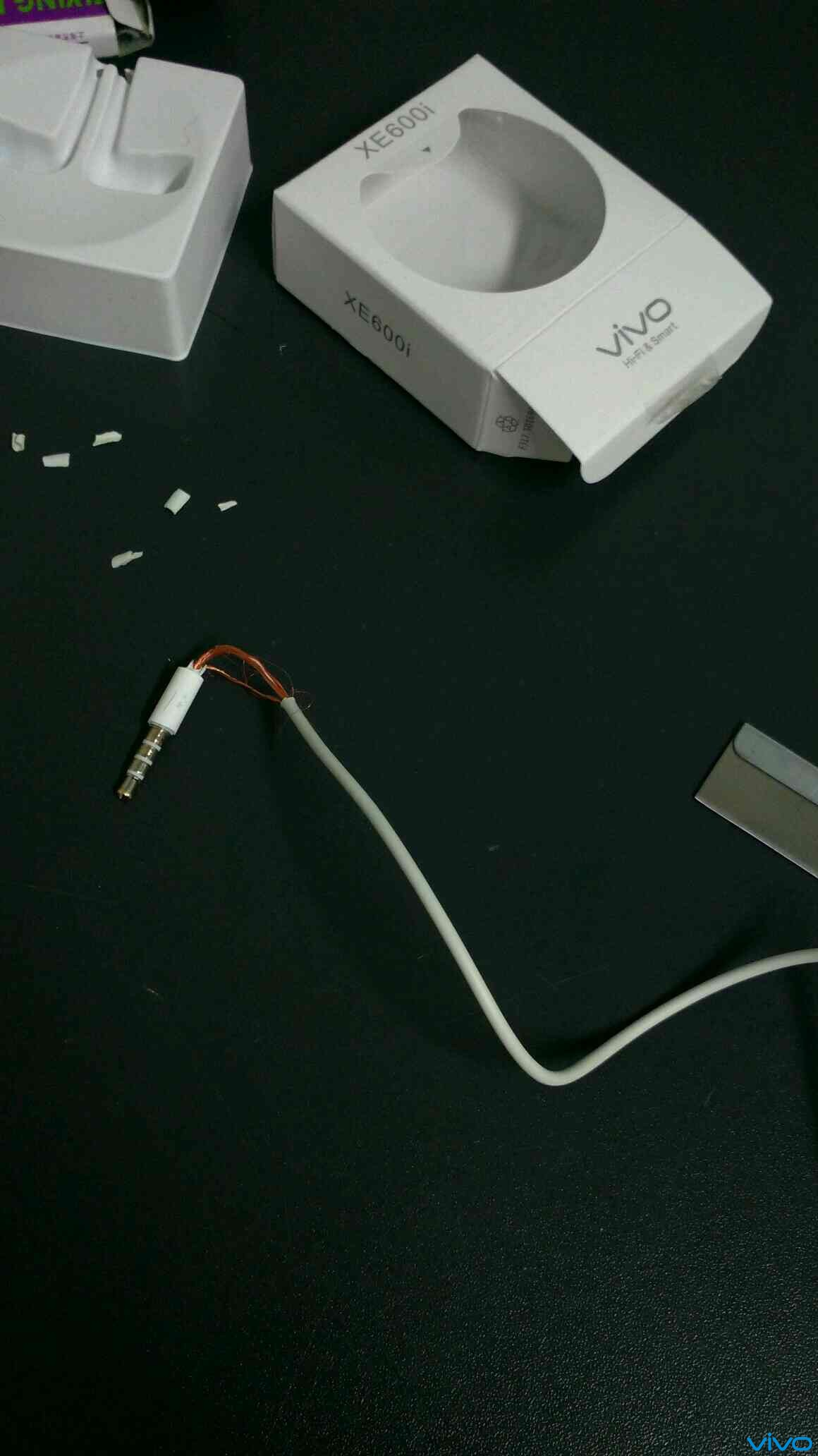 剖尸——多图,慎入!