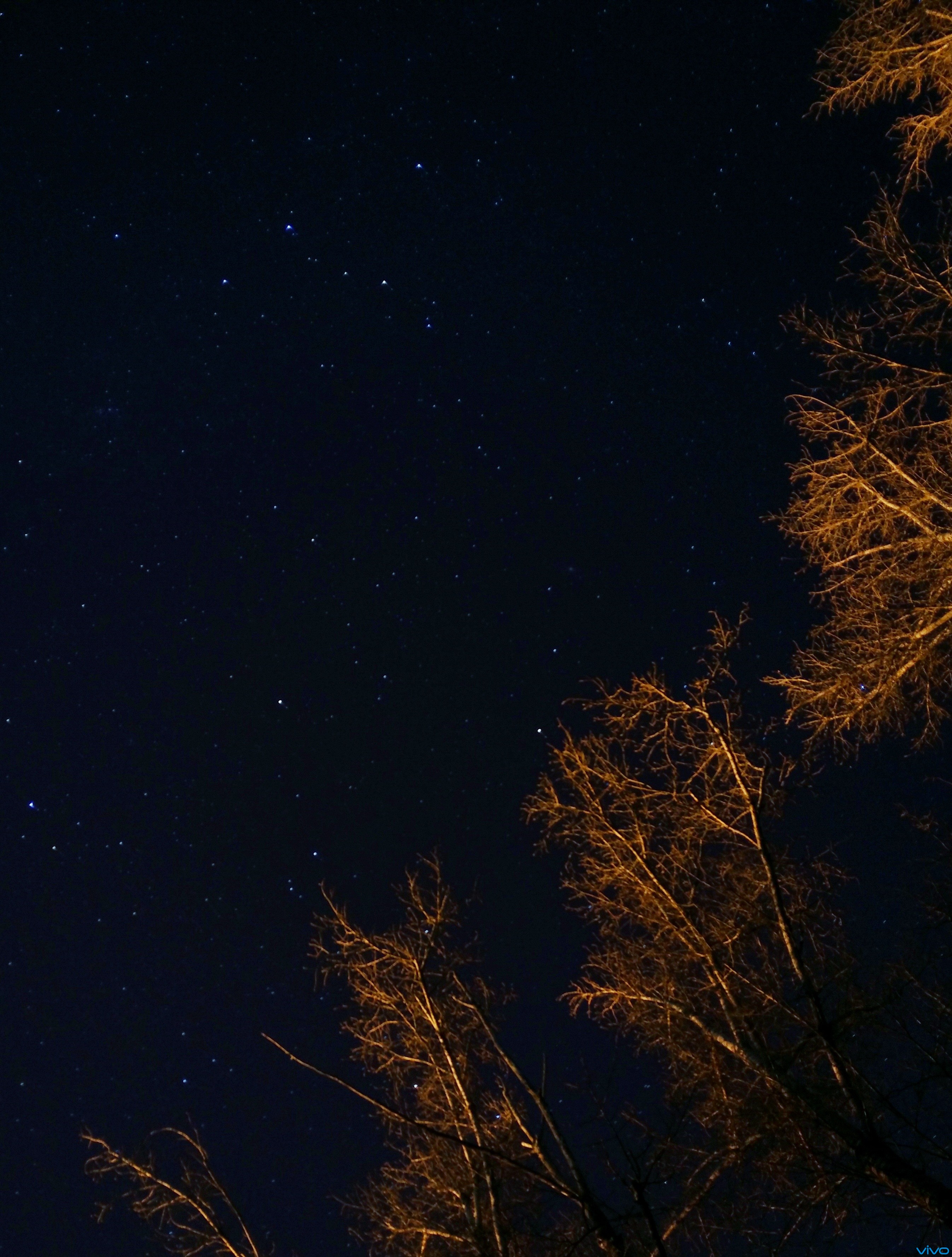 【xshot】冬夜 . 繁星