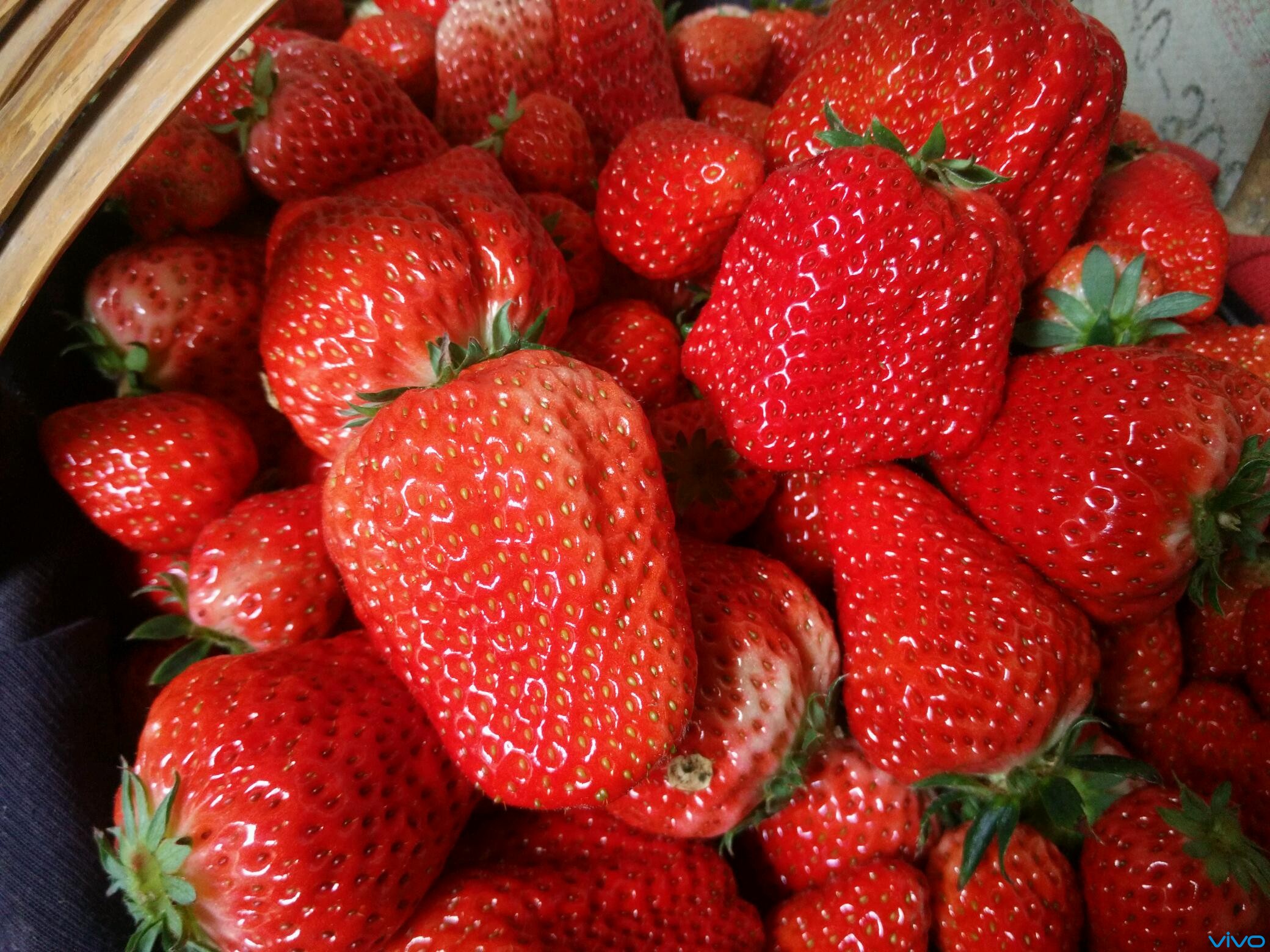 叉烧拍的大草莓