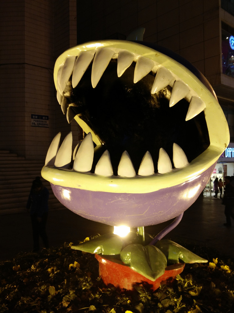 【春节随手拍】植物大战僵尸里的大嘴花