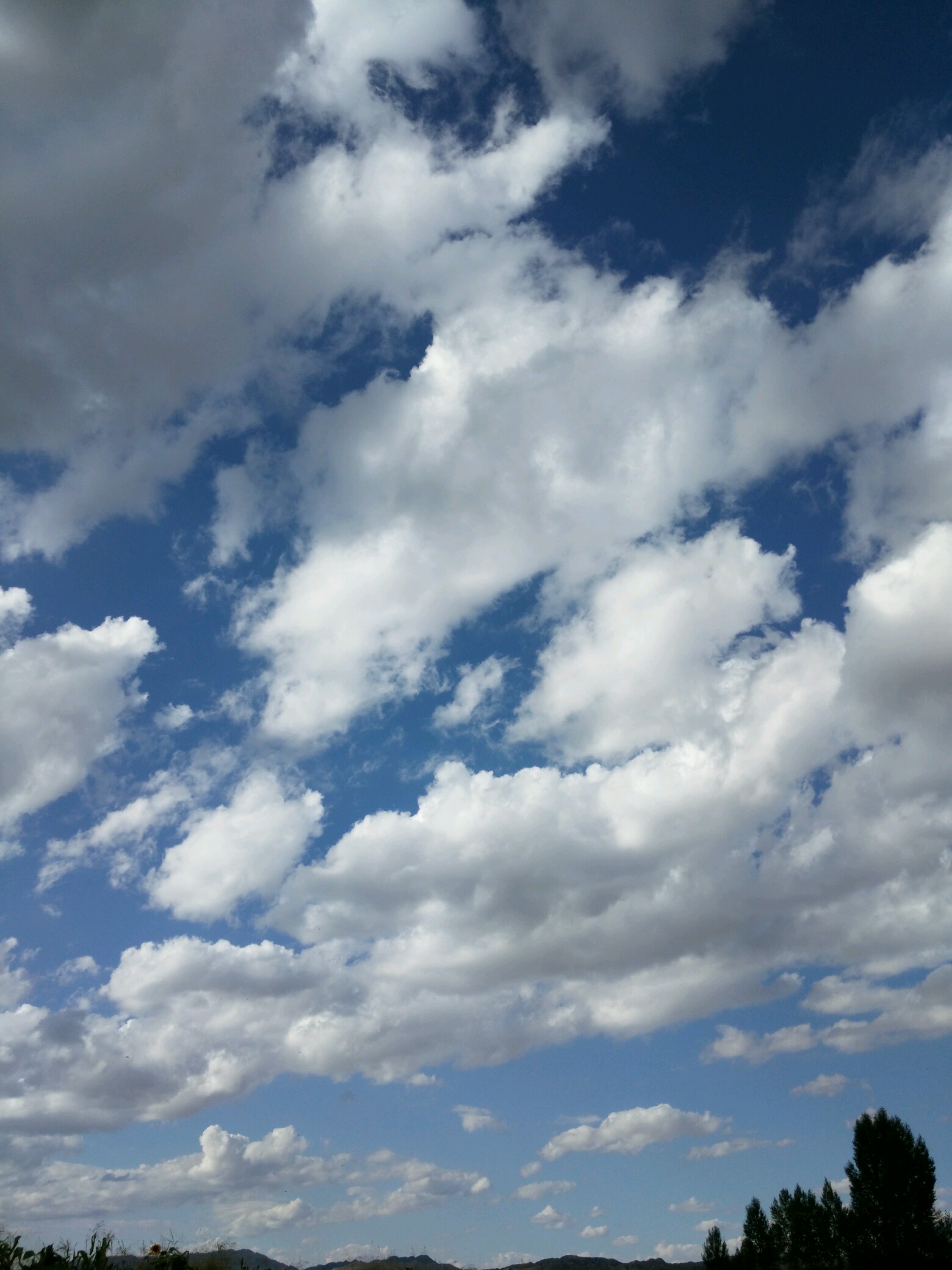 【最美天空】藍天白雲