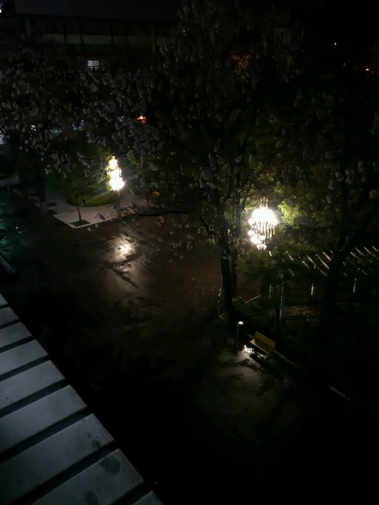 下雨后的学校,夜晚 vivo官方社区