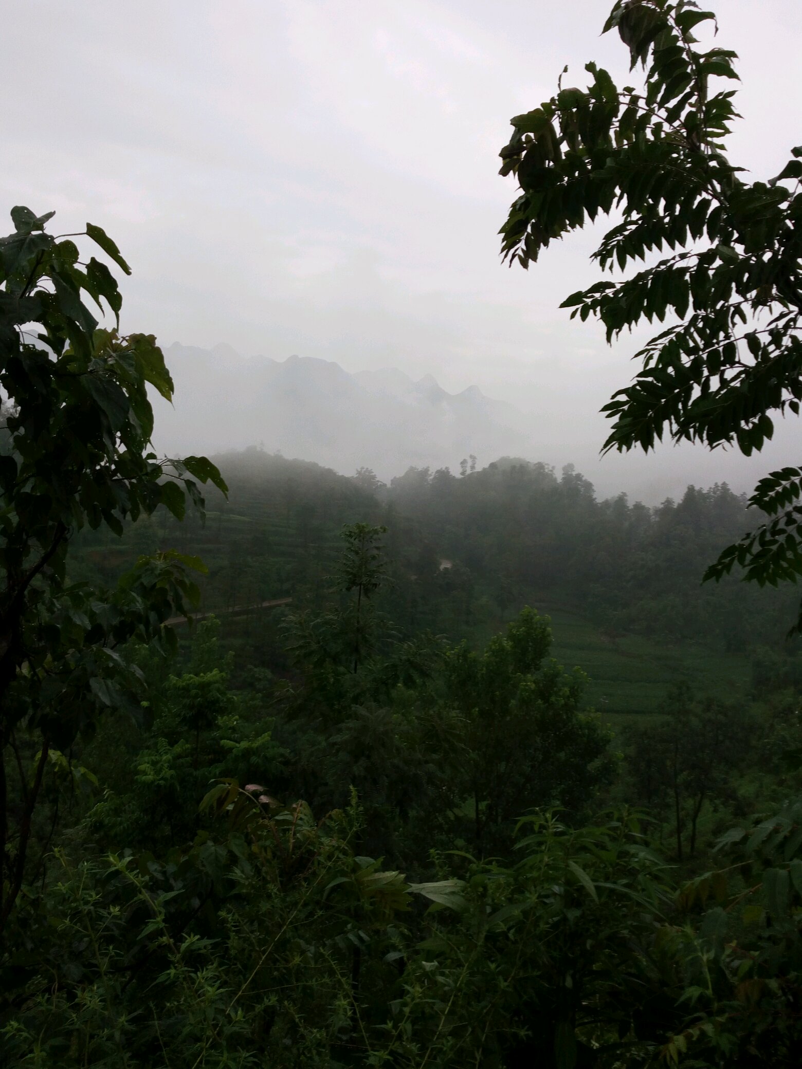 雨后大山图片