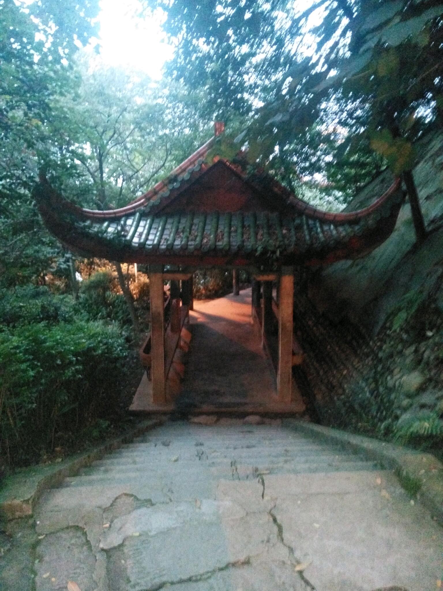 vivoȥС̤ - vivoٷ
