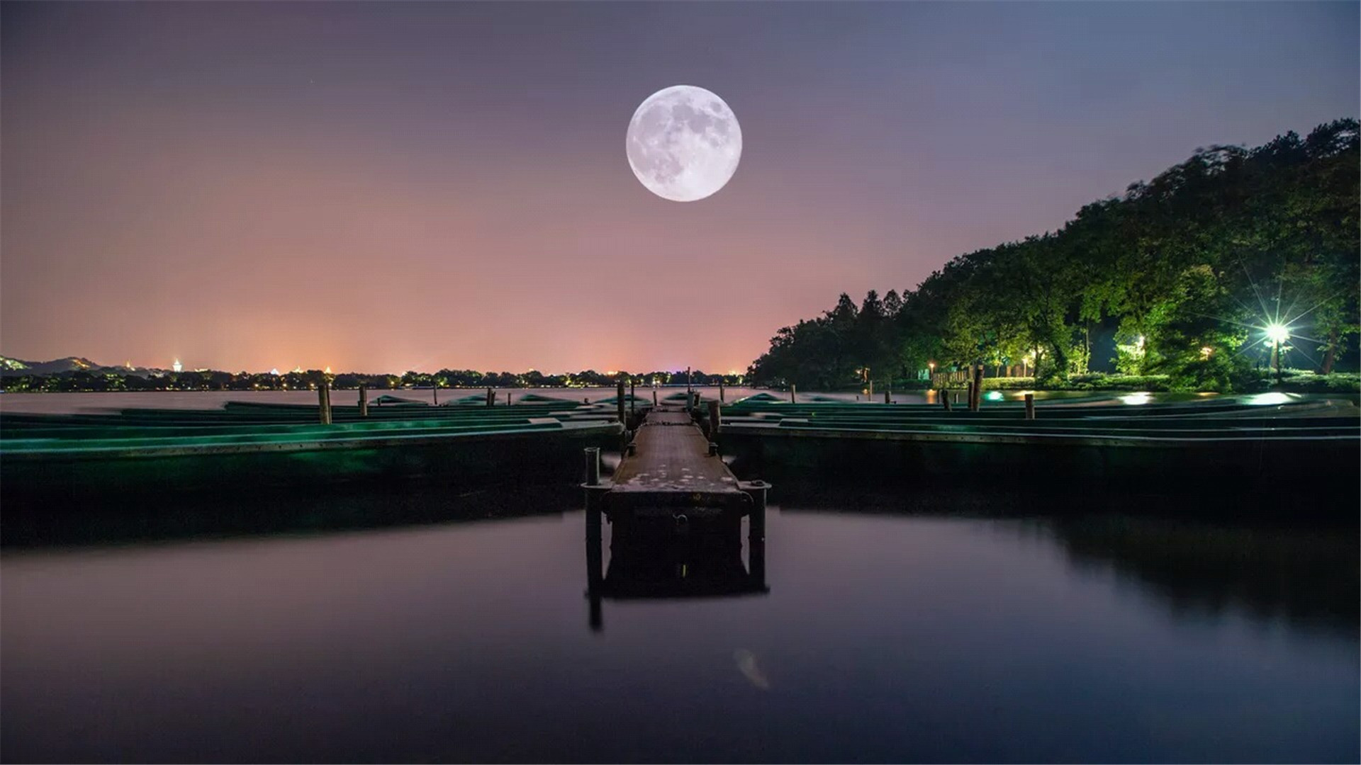 【庆中秋】月圆之夜