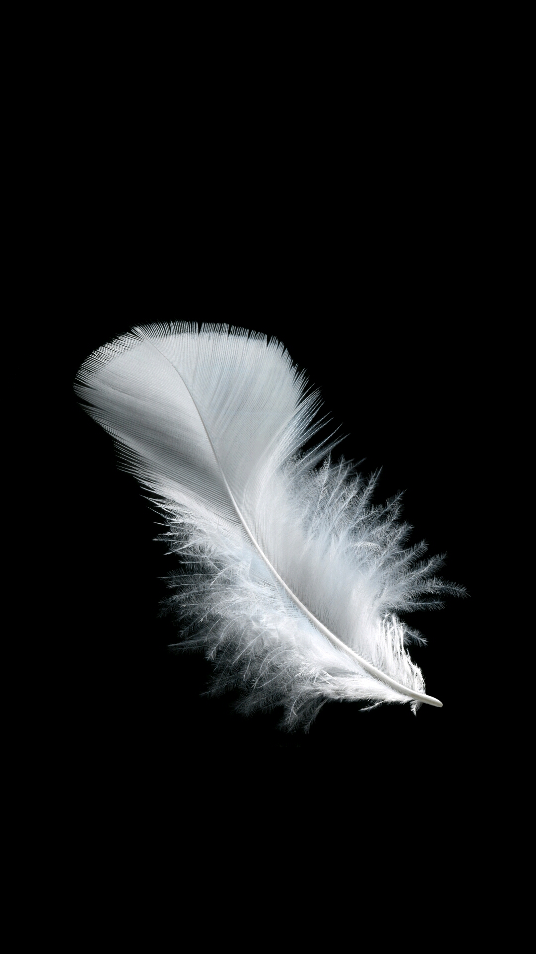 苹果手机黑色壁纸(苹果手机黑色壁纸全黑)