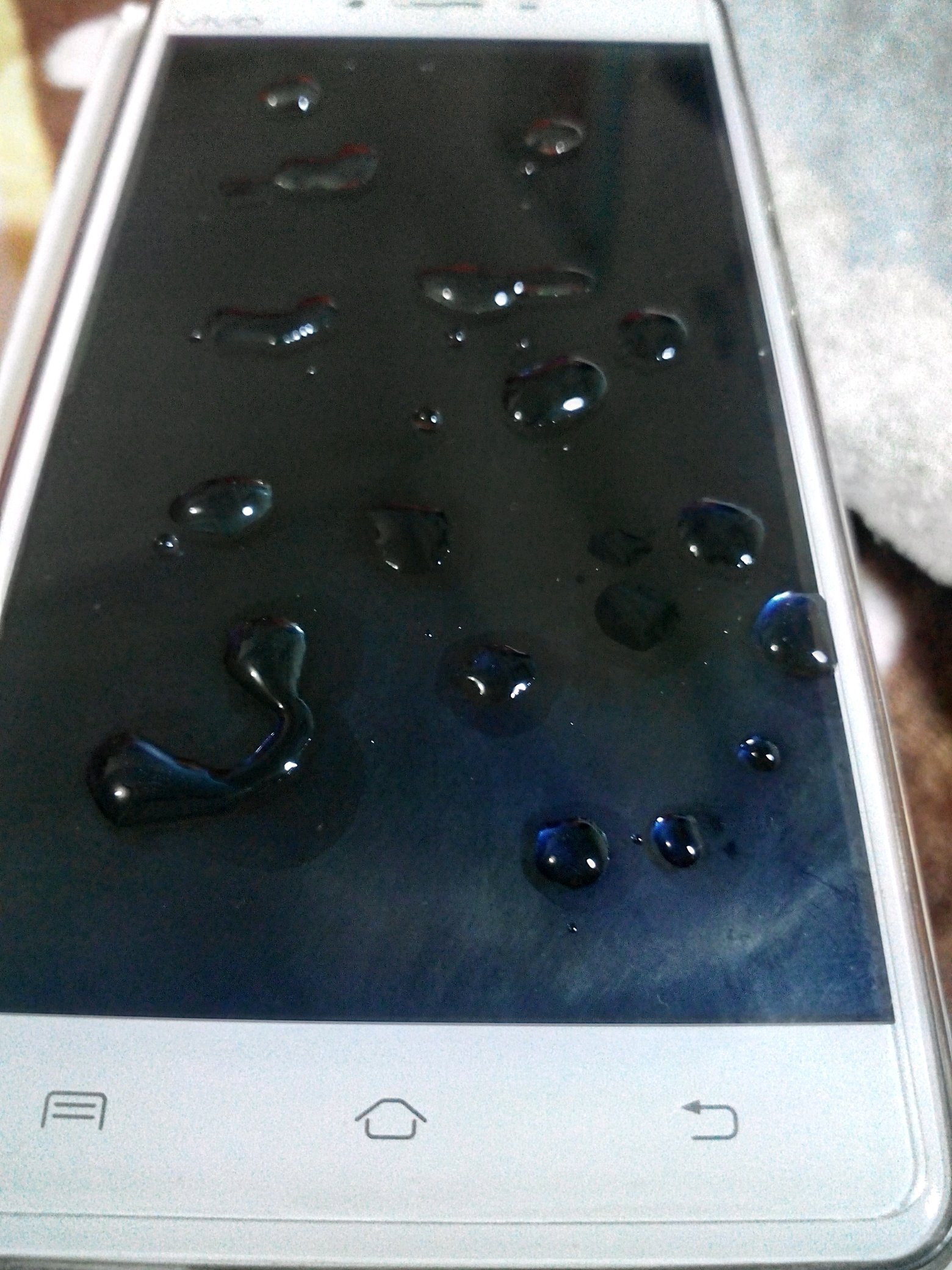 手机掉水里的真实图片图片