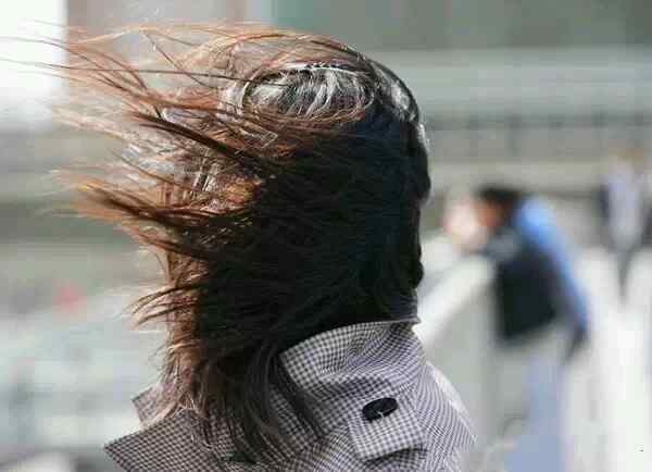 别问我北京风多大,就这感觉.