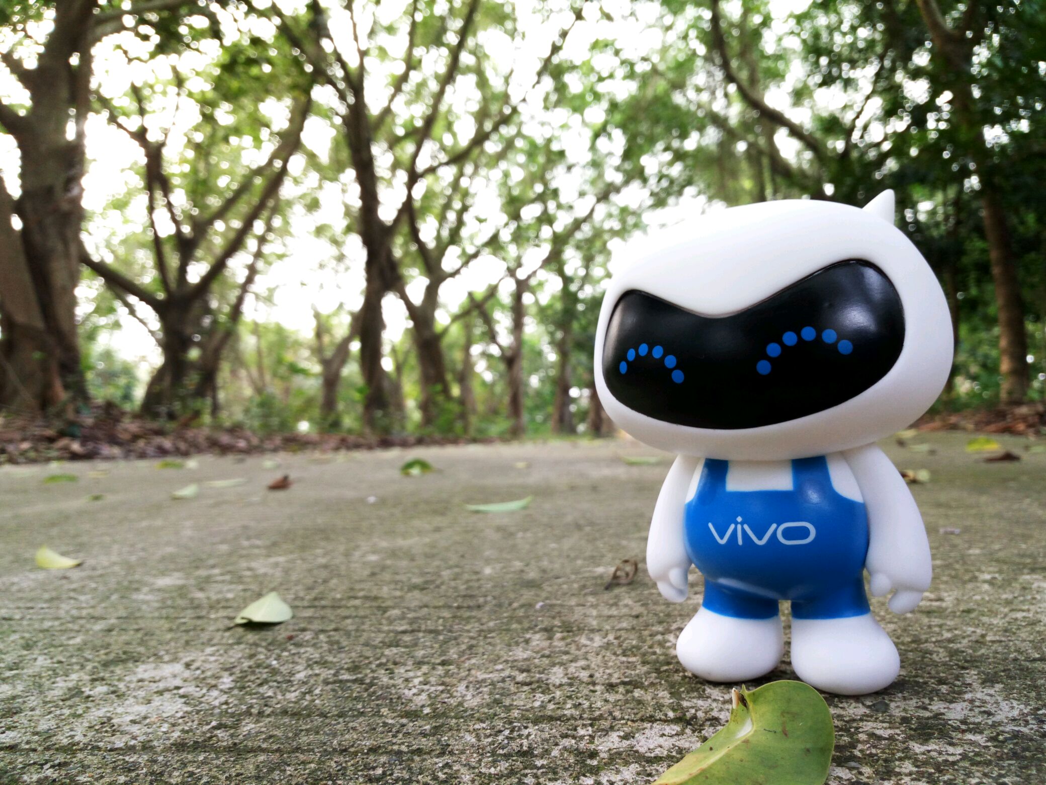 【摄影达人·x5pro】vivo x6,小v