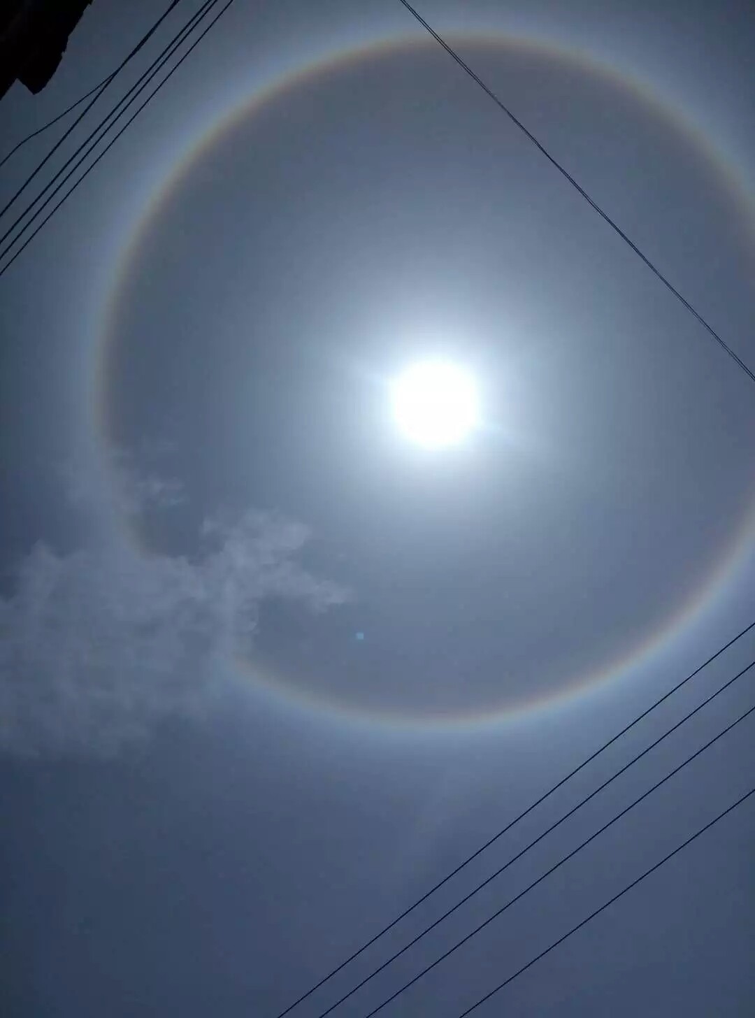 我们这里今天的小太阳很不一样哦