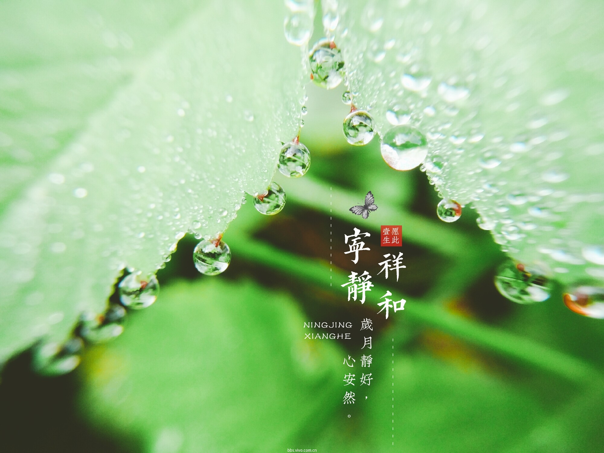 【夏日随手拍】时光清浅,岁月静好