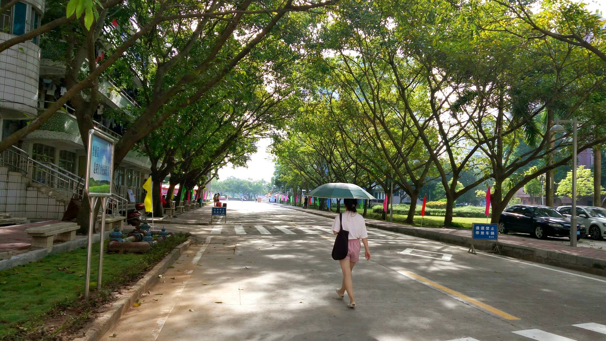 再次重返了母校,沐川在校園青春的氣氛裡,往昔校園美好的時光歷歷在