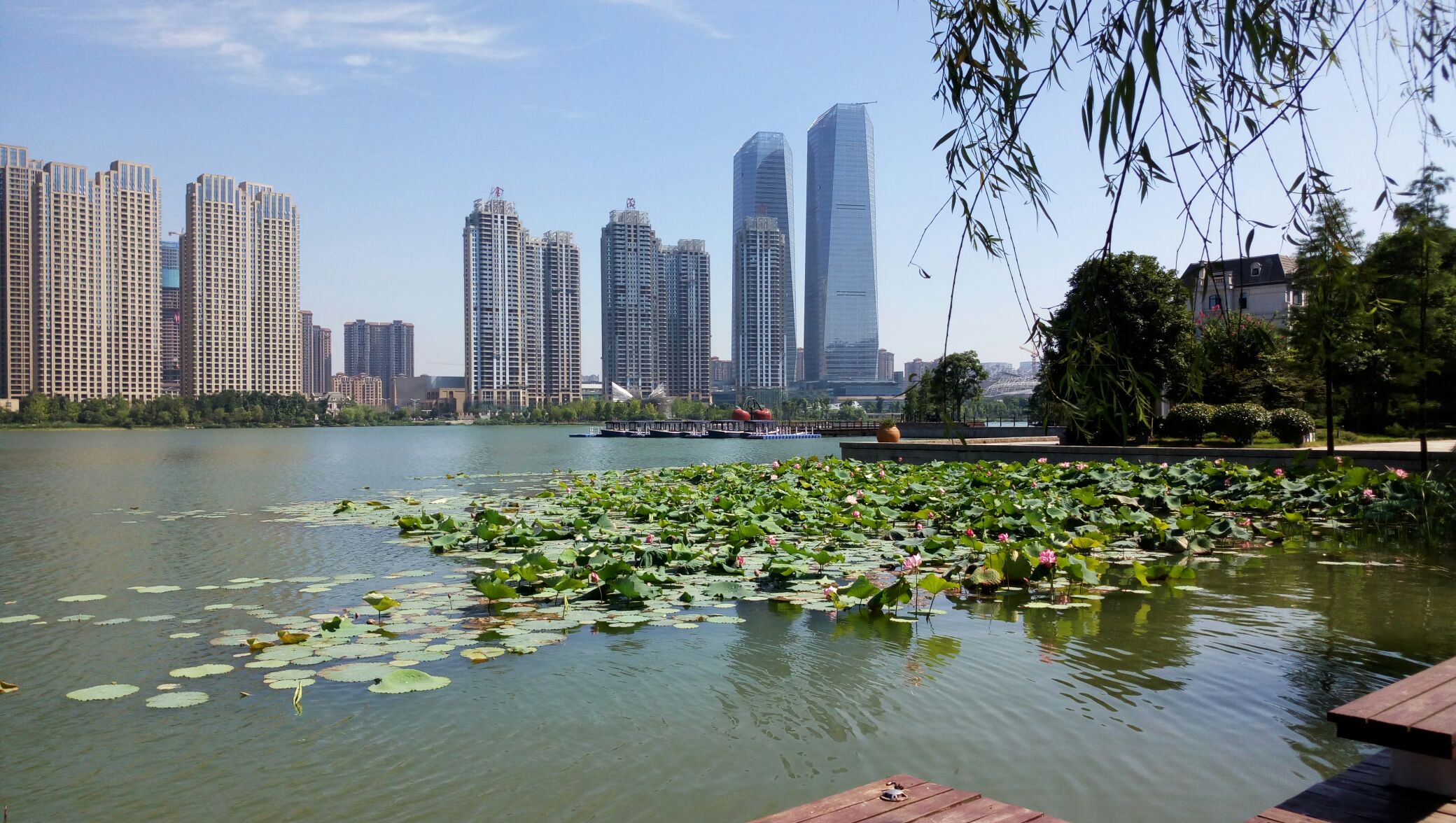 梅溪湖照片实景图片