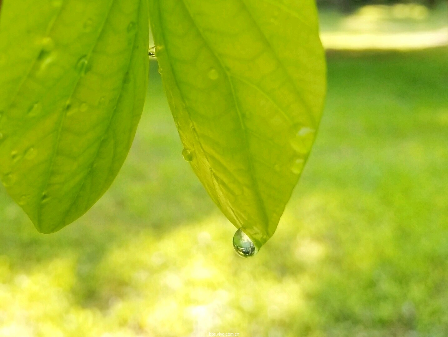 【夏日随手拍】酷暑下的一丝凉意