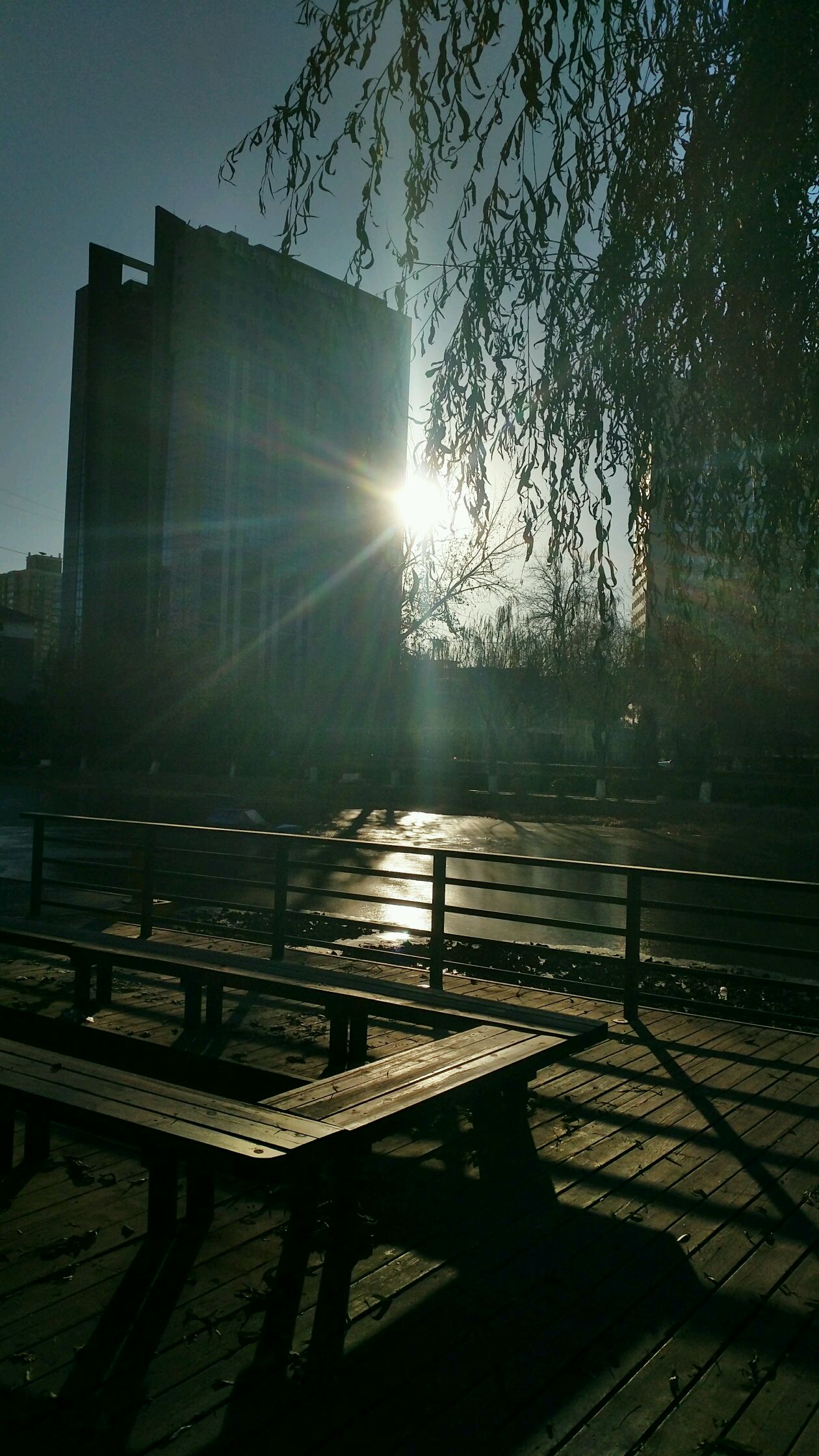 【最美照片】清晨的