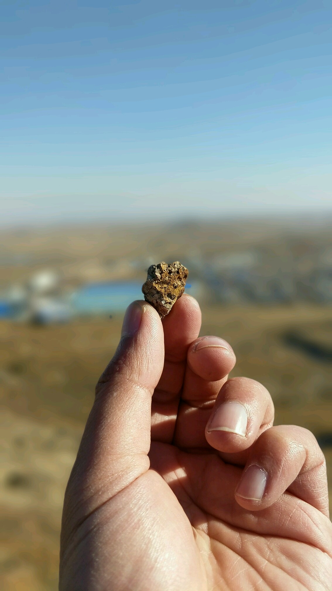 一粒沙里看世界