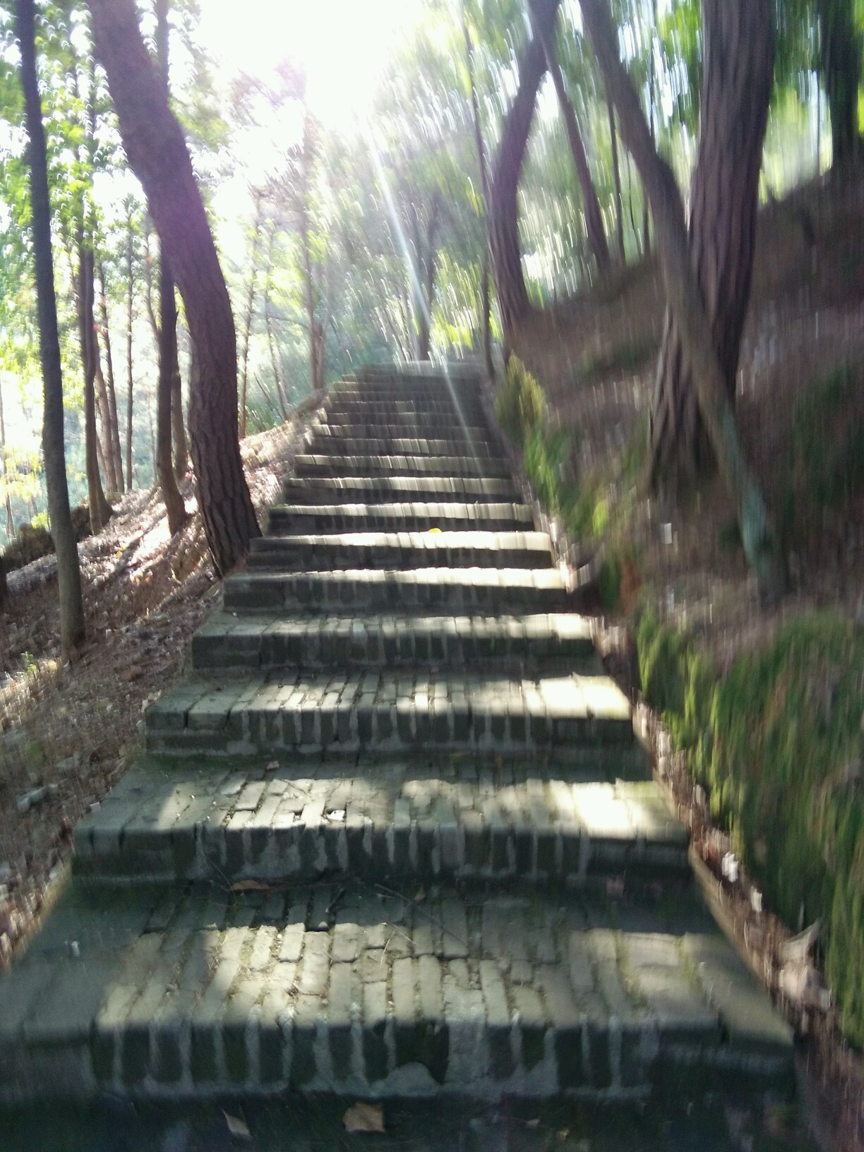 又游会昌岚山