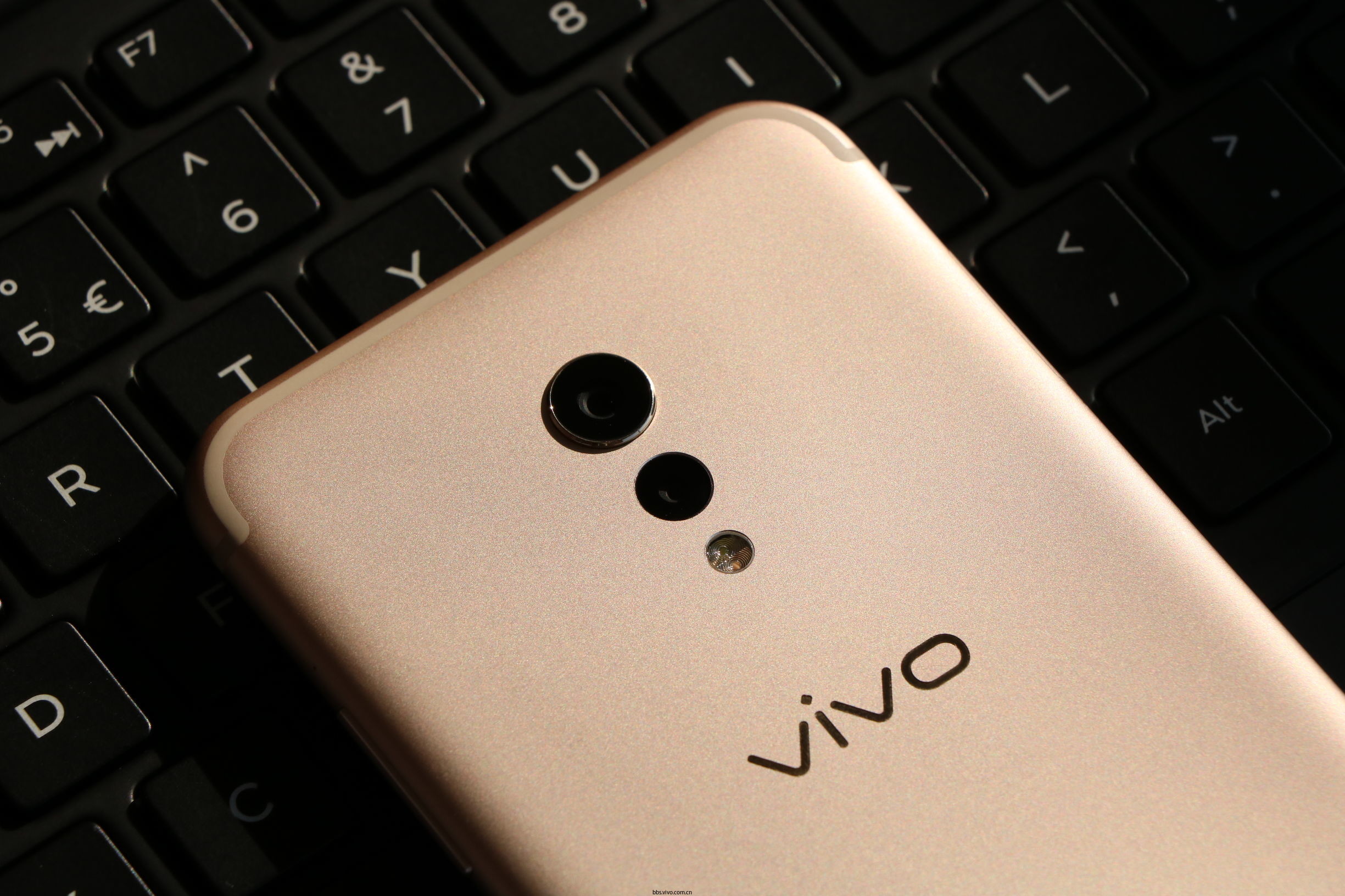 双摄四曲屏完美国产vivoxplay6上手图赏