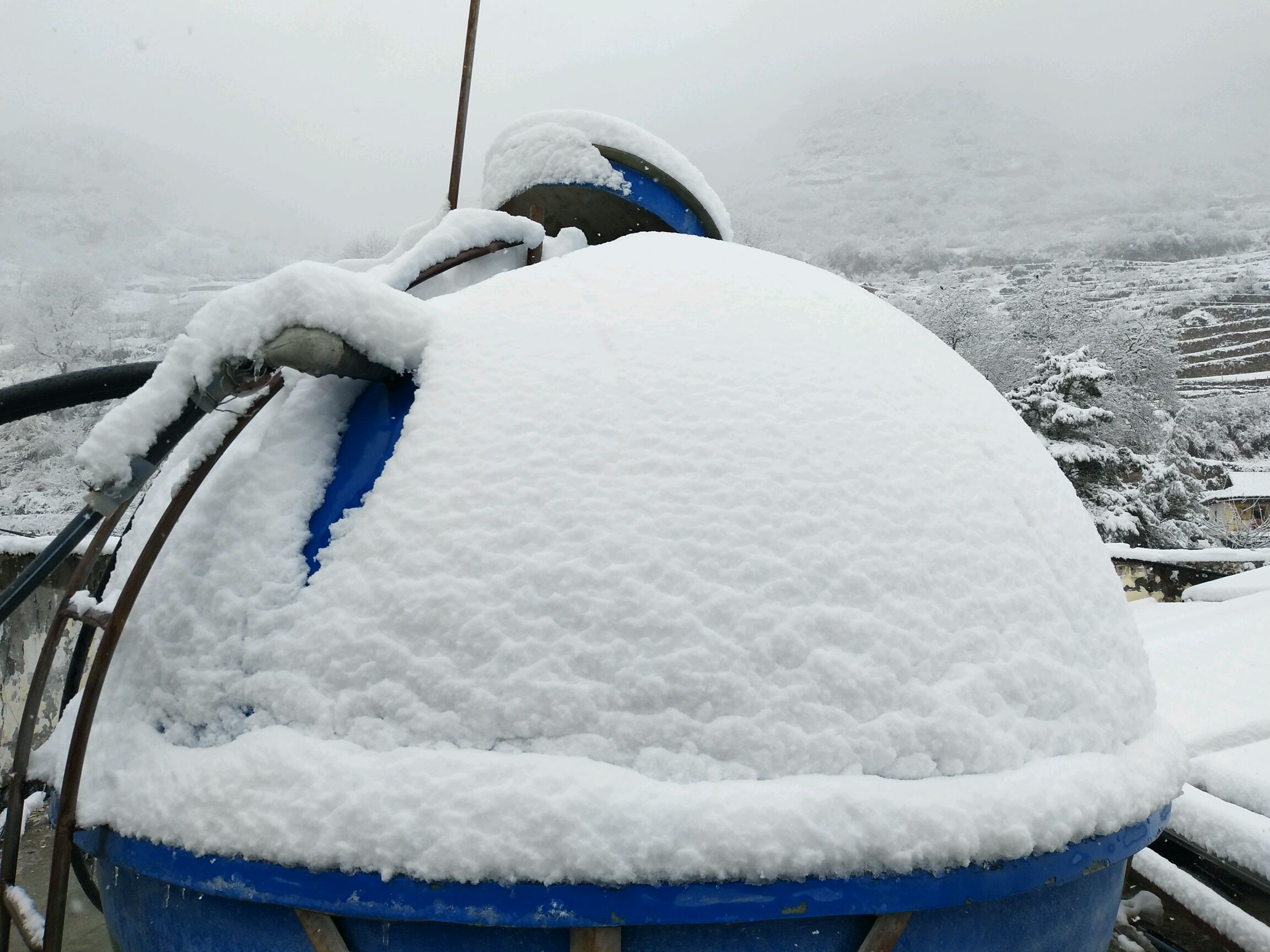 春雪