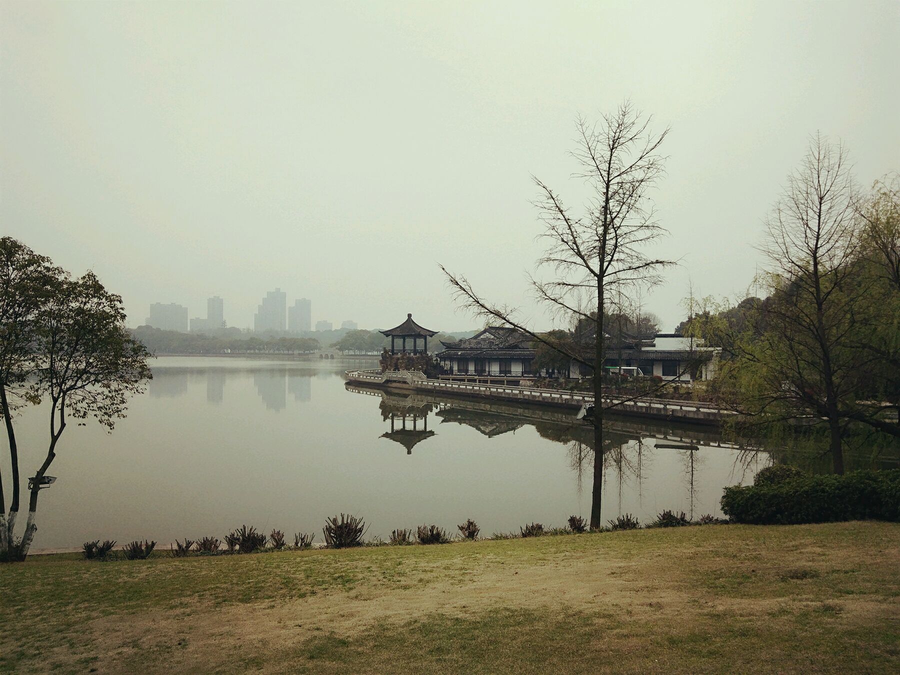 五河县天井湖风景区图片