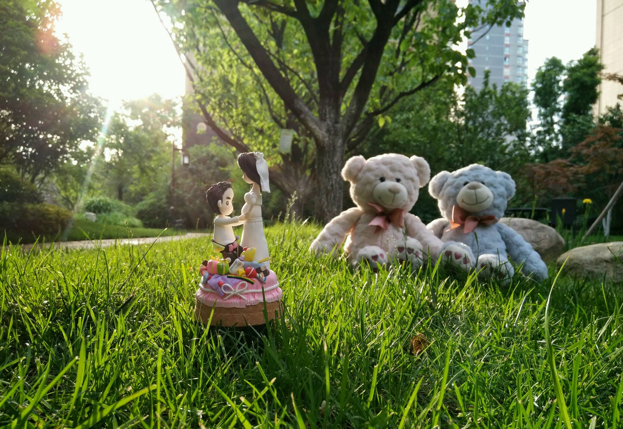 【x7手机摄影】calico wedding