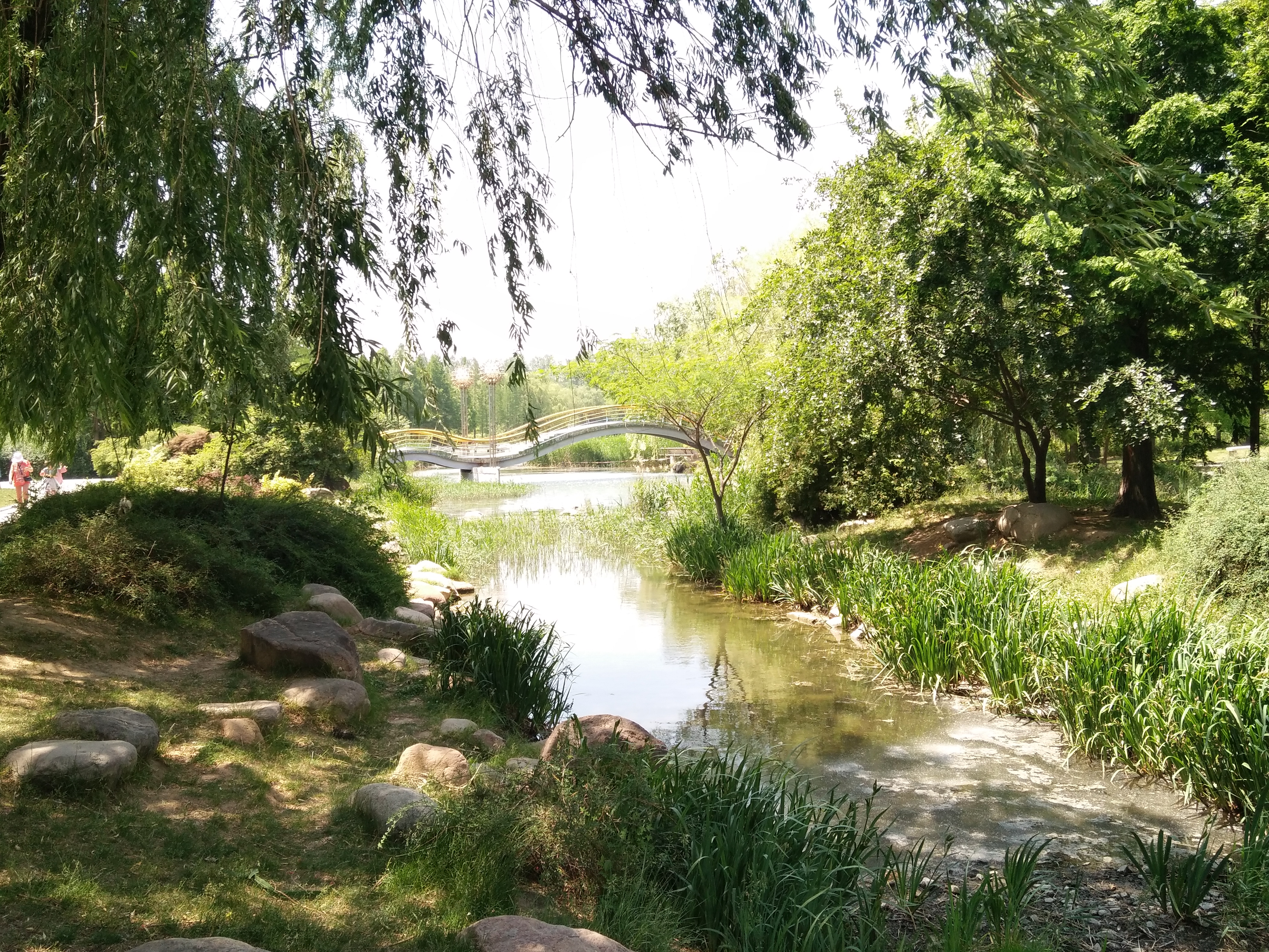 【夏天】城陽世紀公園一遊