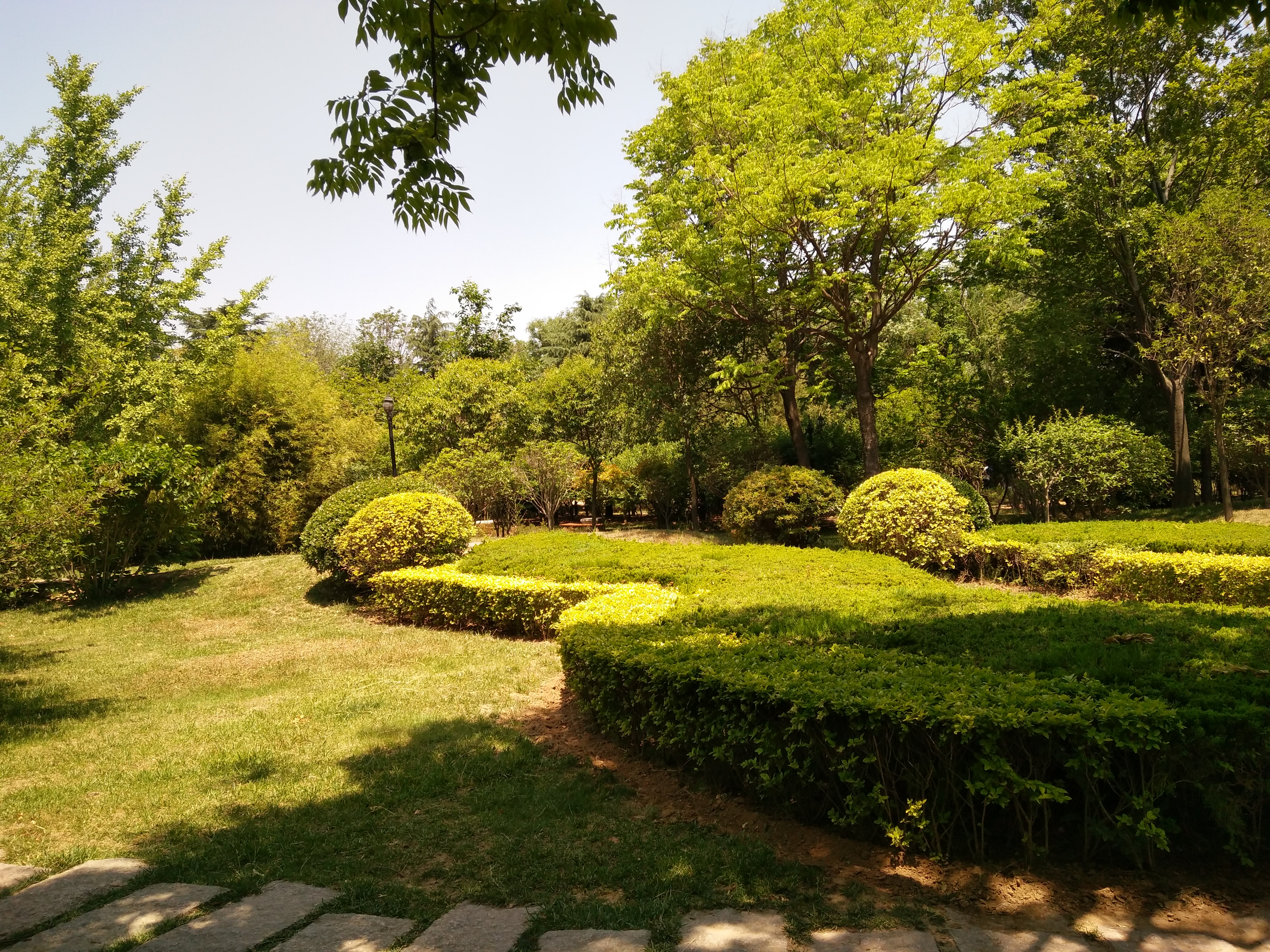 【夏天】城陽世紀公園一遊